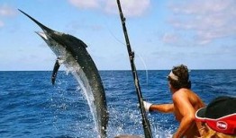 娱乐吃瓜钓鱼视频大全,全网热门娱乐吃瓜钓鱼视频大盘点